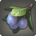 pixie plums ffxiv